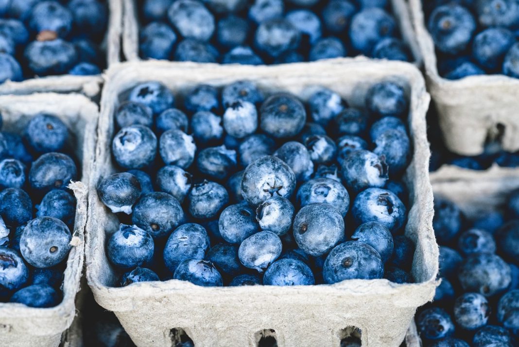 fructe