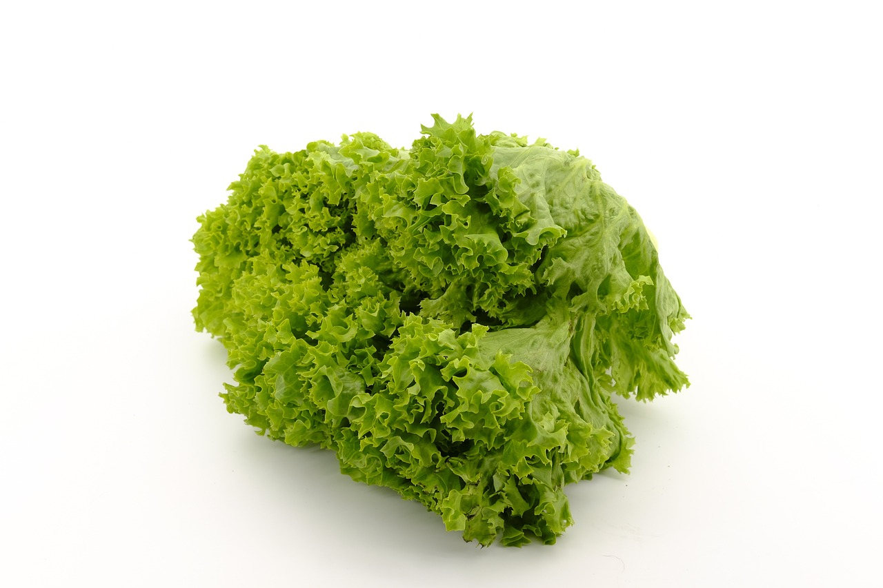 salata