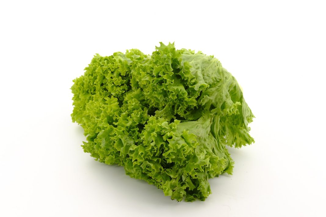salata