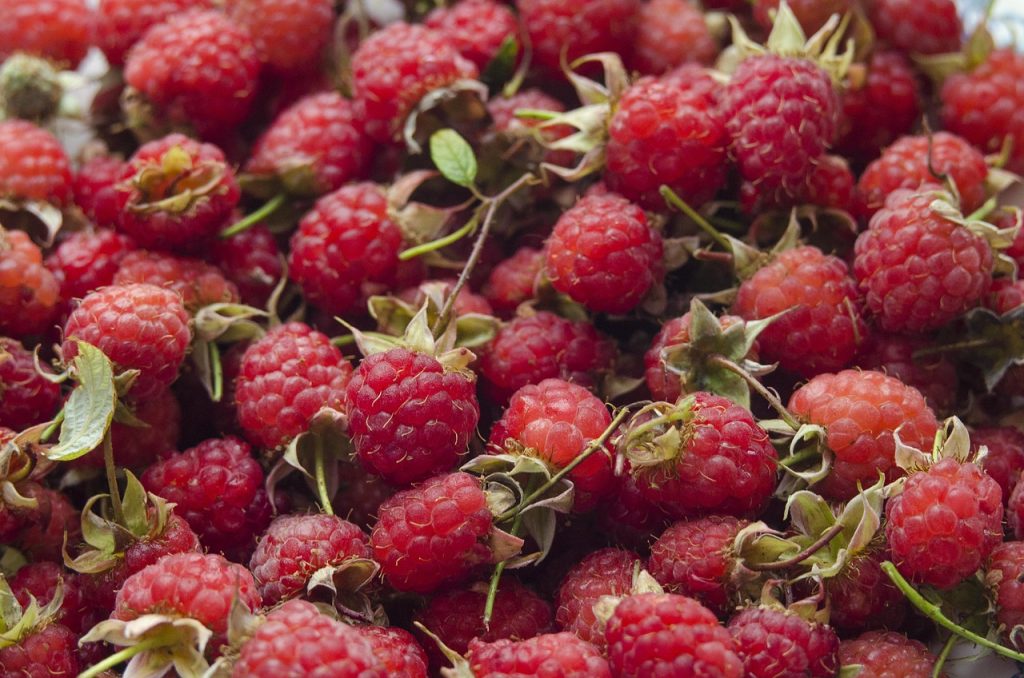 extract din mladite de zmeur ingrasa