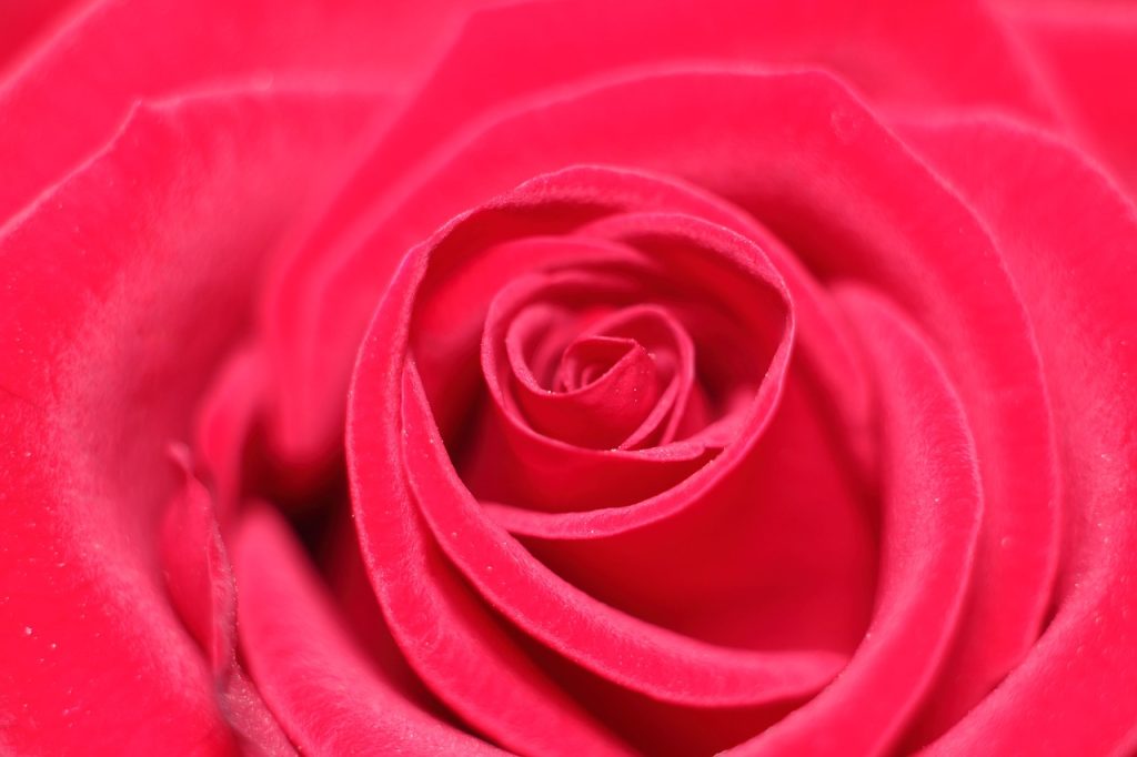 ce inseamna prieteni cu beneficii