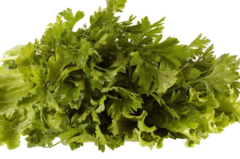cate calorii are o clatita simpla