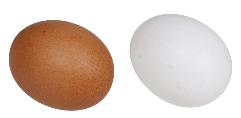 dieta cu oua