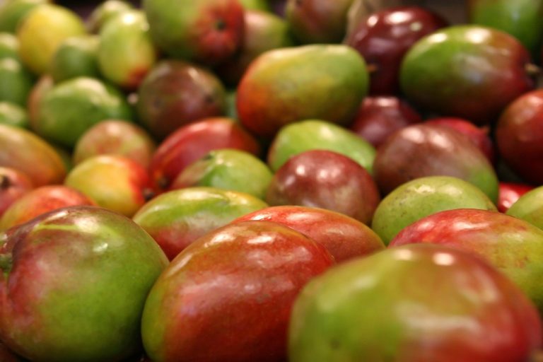 cate calorii are un mango