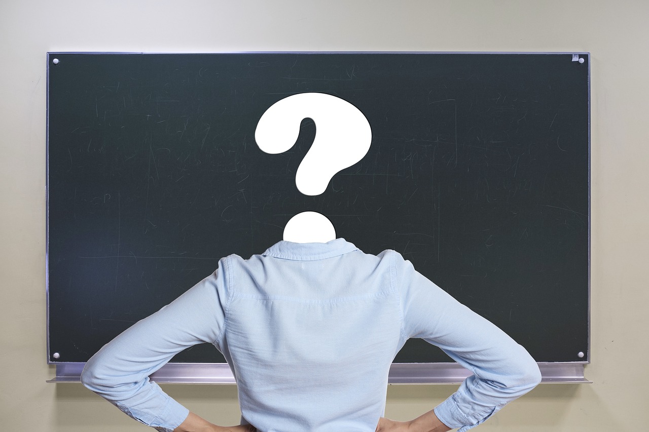 mihai gainusa divort